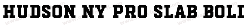 Hudson NY Pro Slab Bold字体转换